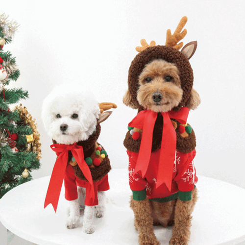 🎄강아지 루돌프SET 코스튬🎄 강아지 크리스마스 코스튬 폼폼이 양털 망토 &amp; 루돌프 모자 SET (2size)